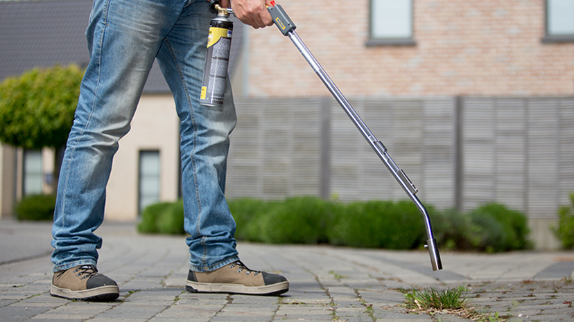 mechanische onkruidbestrijding